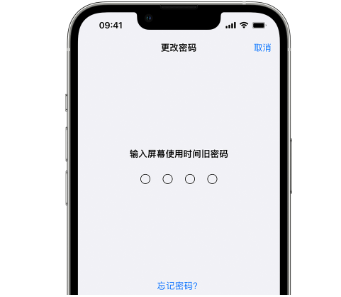 南阳iPhone屏幕维修分享iPhone屏幕使用时间密码忘记了怎么办 