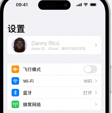 南阳appleID维修服务iPhone设置中Apple ID显示为灰色无法使用 