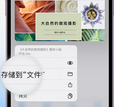 南阳apple维修中心分享iPhone文件应用中存储和找到下载文件