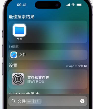 南阳apple维修中心分享iPhone文件应用中存储和找到下载文件 