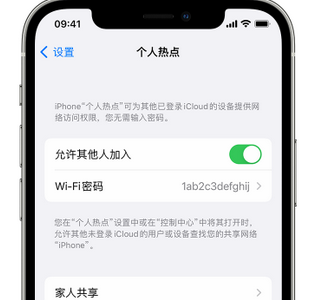 南阳apple服务站点分享iPhone上个人热点丢失了怎么办 