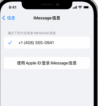 南阳apple维修iPhone上无法正常发送iMessage信息 