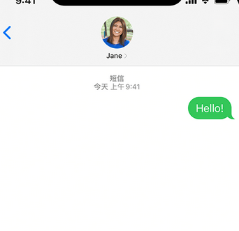 南阳apple维修iPhone上无法正常发送iMessage信息