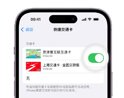 南阳apple维修点分享iPhone上更换Apple Pay快捷交通卡手绘卡面 