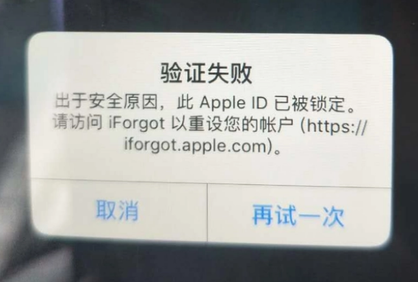 南阳iPhone维修分享iPhone上正常登录或使用AppleID怎么办 