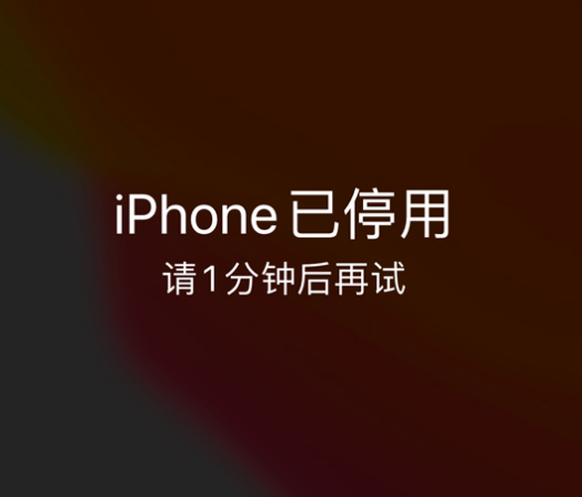 南阳苹果手机维修分享:iPhone 显示“不可用”或“已停用”怎么办？还能保留数据吗？ 