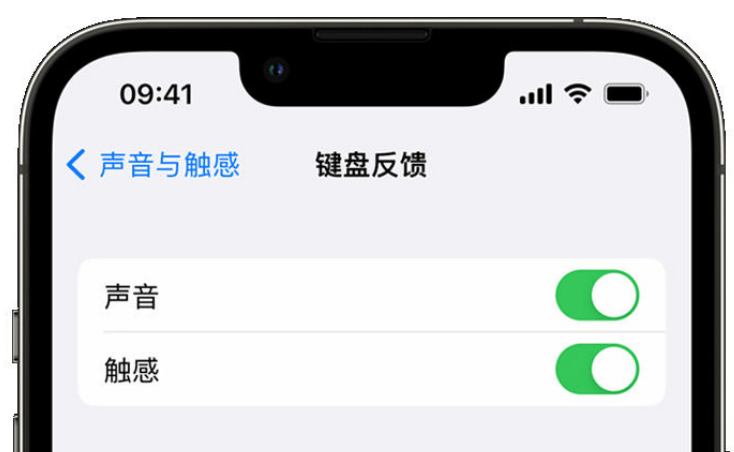 南阳苹果手机维修分享iPhone 14触感键盘使用方法 