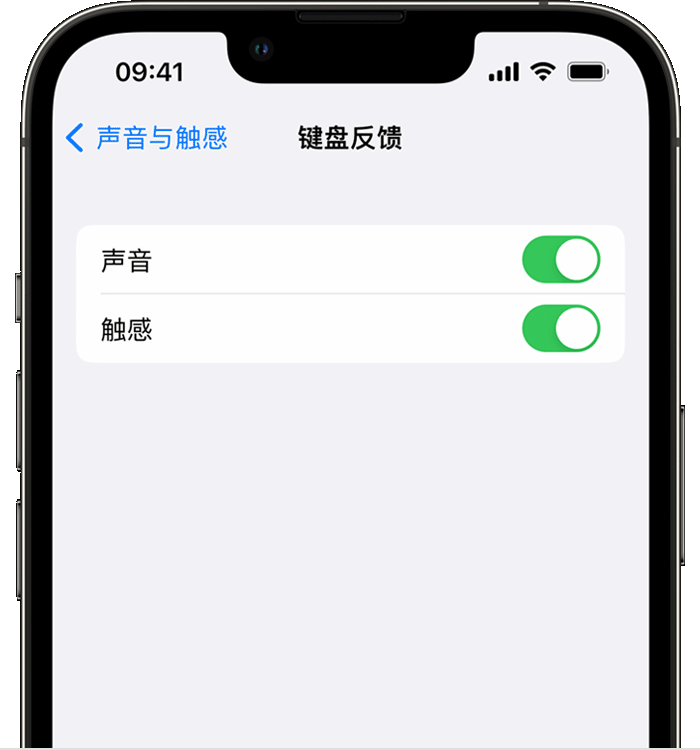 南阳苹果14维修店分享如何在 iPhone 14 机型中使用触感键盘 