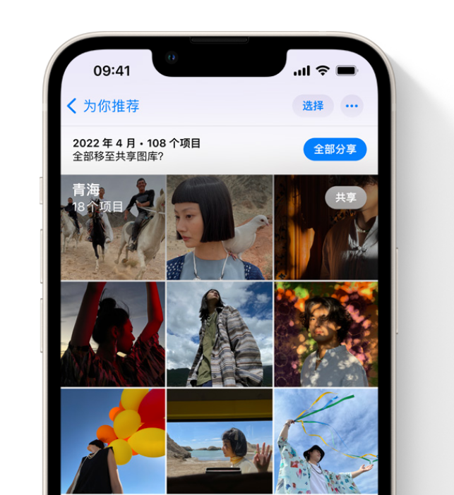 南阳苹果维修网点分享在 iPhone 上使用共享图库 