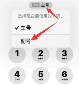 南阳苹果14维修店分享iPhone 14 Pro Max使用副卡打电话的方法 