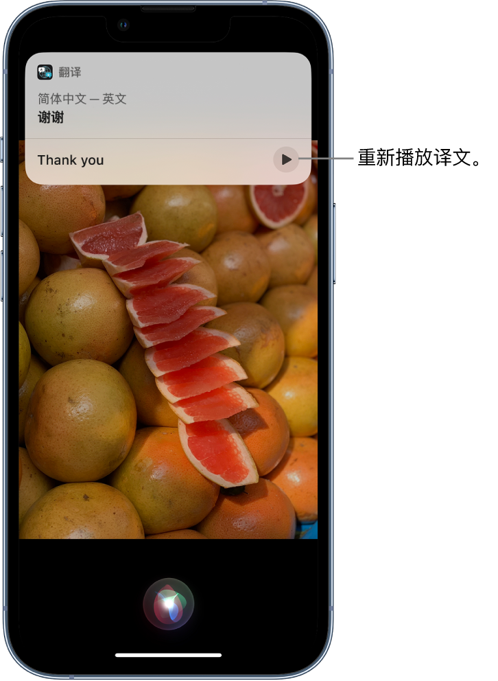 南阳苹果14维修分享 iPhone 14 机型中使用 Siri：了解 Siri 能帮你做什么 