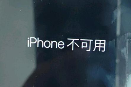 南阳苹果服务网点分享锁屏界面显示“iPhone 不可用”如何解决 