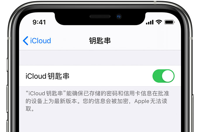 南阳苹果手机维修分享在 iPhone 上开启 iCloud 钥匙串之后会储存哪些信息 