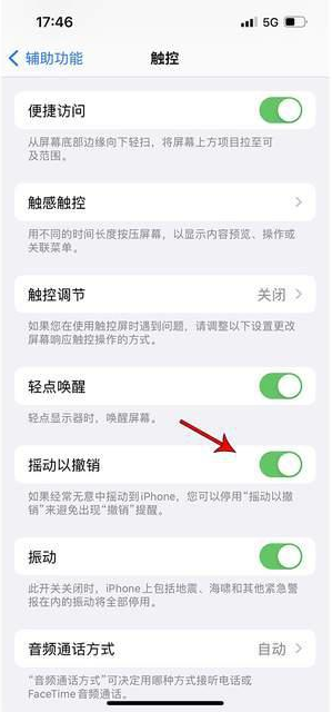 南阳苹果手机维修分享iPhone手机如何设置摇一摇删除文字 